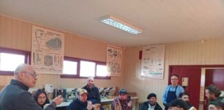 Innovación y economía circular: Aysén busca modernizar su cadena de la madera con gira tecnológica del PDT de Corfo en Valdivia