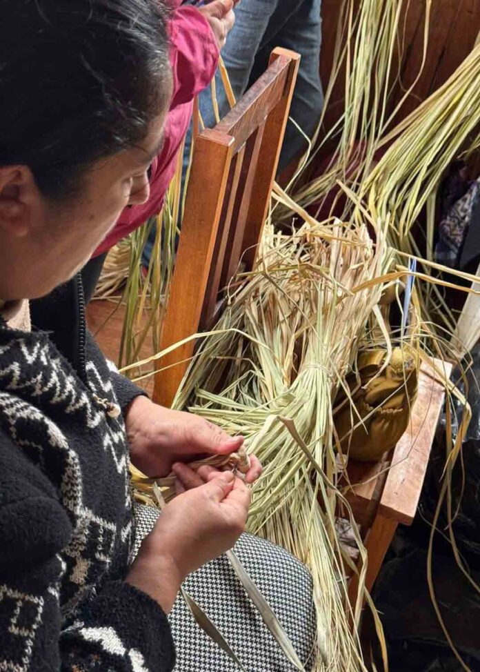 Integrantes del Programa de Desarrollo Territorial Indígena de INDAP Tirúa se capacitaron en cestería en ñocha