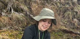 Investigación avanza en el estudio del perfil lipídico de especies del género Nothofagus en el Parque Nacional Conguillío