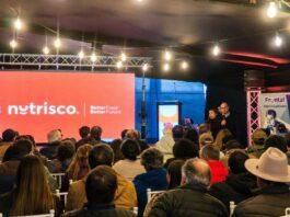 Invitan a productores de fruta a encuentro que abordará las últimas tendencias sobre la industria chilena de berries