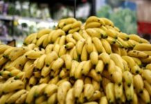 La Asociación de Bananeros de Colombia estará en la Fruit Attraction Madrid de 2025