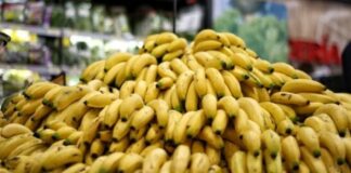 La Asociación de Bananeros de Colombia estará en la Fruit Attraction Madrid de 2025