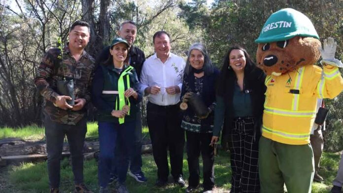La Municipalidad de Talca avanza junto a CONAF y FAO en la restauración de su Bosque Municipal con especies nativas
