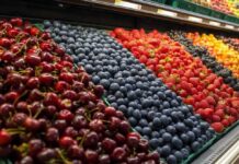 La Región de Ñuble cerró temporada frutícola exportadora exitosa en 2024/25, pero surgen desafíos