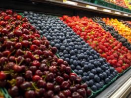La Región de Ñuble cerró temporada frutícola exportadora exitosa en 2024/25, pero surgen desafíos