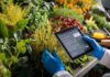La inteligencia artificial gana terreno en Chile e impulsa cambios en sectores clave