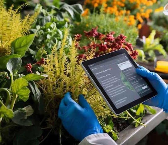 La inteligencia artificial gana terreno en Chile e impulsa cambios en sectores clave