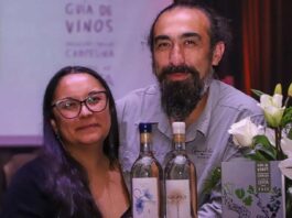 Lanzan la primera guía de vinos del Valle del Itata para abrir nuevas rutas de enoturismo y comercio