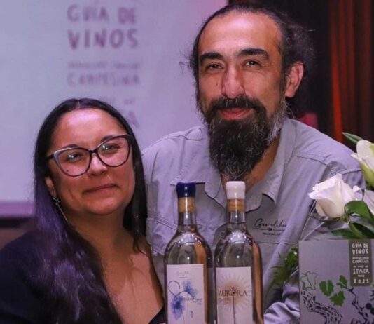 Lanzan la primera guía de vinos del Valle del Itata para abrir nuevas rutas de enoturismo y comercio