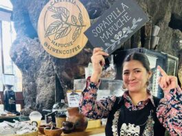 Macarena Huichaman, la emprendedora mapuche que lleva el sabor del maqui al centro de Santiago