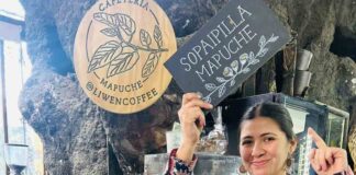 Macarena Huichaman, la emprendedora mapuche que lleva el sabor del maqui al centro de Santiago