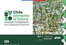 Minagri y BID invitan a participar en el seminario “Avances y desafíos de la Gestión de Riesgo de Desastres en el sector silvoagropecuario chileno”