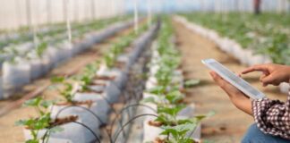 NEC y ClimateAi desarrollan un modelo conceptual para promover la adaptación al cambio climático en la agricultura