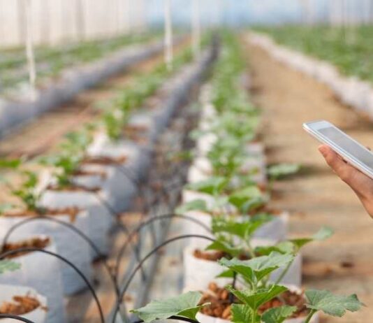 NEC y ClimateAi desarrollan un modelo conceptual para promover la adaptación al cambio climático en la agricultura