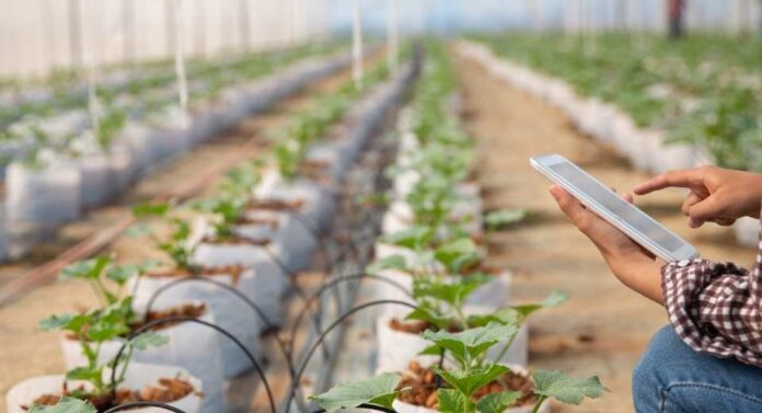 NEC y ClimateAi desarrollan un modelo conceptual para promover la adaptación al cambio climático en la agricultura