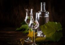 Orgullo nacional: Pisco chileno gana Doble Oro y es elegido “Destilería de Pisco del Año” en Asia