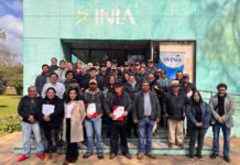 Ovejas que impulsan futuro: Ñuble cierra programa que fortaleció la ganadería ovina