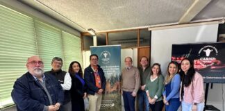PTI Carne Bovina Los Lagos proyecta nuevos desafíos para fortalecer el desarrollo competitivo del sector