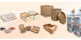 DS Smith, una empresa de International Paper, presentará en Fruit Attraction sus soluciones de packaging sostenible para el sector hortofrutícola