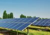 Cómo las empresas agrícolas pueden lograr independencia energética