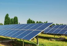 Cómo las empresas agrícolas pueden lograr independencia energética