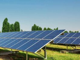 Cómo las empresas agrícolas pueden lograr independencia energética