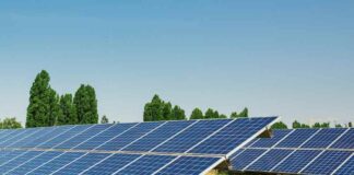 Cómo las empresas agrícolas pueden lograr independencia energética