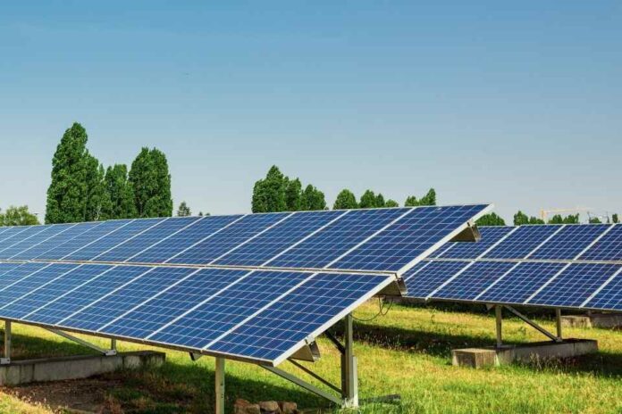 Cómo las empresas agrícolas pueden lograr independencia energética