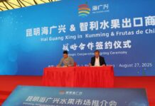 Para potenciar la presencia de las frutas chilenas en el sudeste de China: Frutas de Chile firma MoU con el mercado mayorista de Kunming Haiguangxing