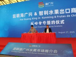 Para potenciar la presencia de las frutas chilenas en el sudeste de China: Frutas de Chile firma MoU con el mercado mayorista de Kunming Haiguangxing
