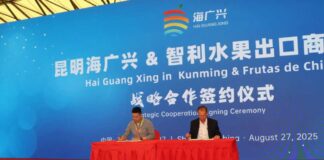 Para potenciar la presencia de las frutas chilenas en el sudeste de China: Frutas de Chile firma MoU con el mercado mayorista de Kunming Haiguangxing