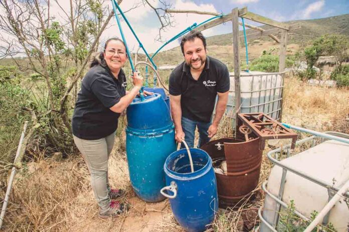 Pareja chilena será reconocida por Bukele y mostrará en la COP30 su modelo de granja autosustentable