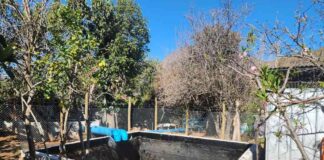 Pequeños agricultores de Salamanca aumentarán la rentabilidad de sus cultivos gracias a proyecto de riego integral bonificado por la CNR