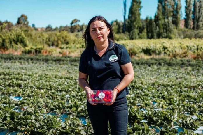 FIA invita a postular al Premio Nacional Mujer Agroinnovadora 2025 en Ñuble