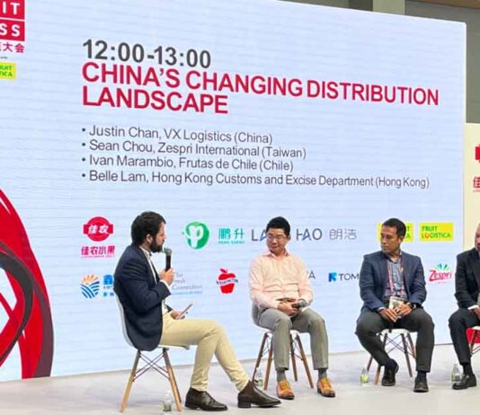 Presidente de Frutas de Chile analiza el desafío logístico de la fruta fresca en China
