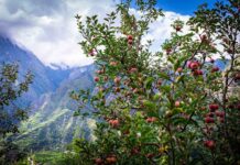 Project InnerSpace anuncia proyecto de almacenamiento en frío geotérmico en India bajo un programa de financiación