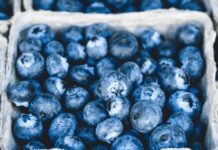 Recubrimientos comestibles para frutas: INIA La Platina publica nueva ficha técnica