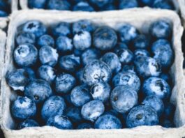 Recubrimientos comestibles para frutas: INIA La Platina publica nueva ficha técnica