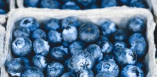Recubrimientos comestibles para frutas: INIA La Platina publica nueva ficha técnica
