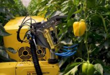Robots serian la solución para déficit de mano de obra en la agricultura