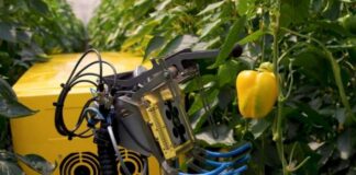 Robots serian la solución para déficit de mano de obra en la agricultura