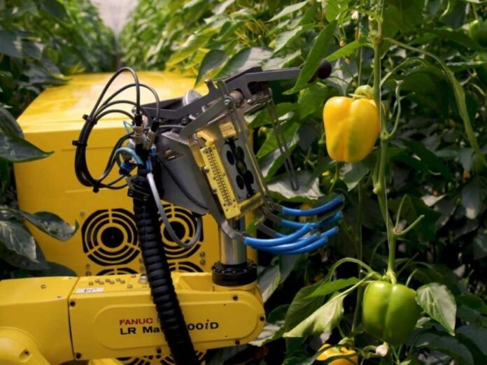 Robots serian la solución para déficit de mano de obra en la agricultura