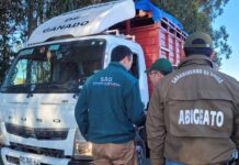 SAG Ñuble refuerza llamado a prevenir el abigeato