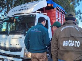SAG Ñuble refuerza llamado a prevenir el abigeato