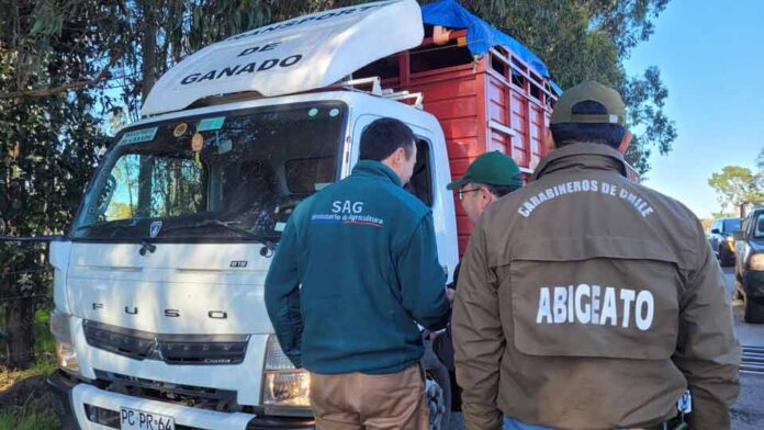 SAG Ñuble refuerza llamado a prevenir el abigeato