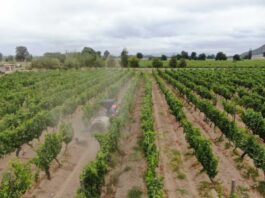 SAG y sector privado acuerdan actualización de la Resolución N°243 sobre plaguicidas