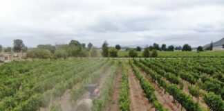 SAG y sector privado acuerdan actualización de la Resolución N°243 sobre plaguicidas