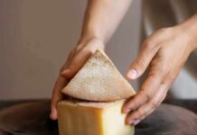 Santiago será la capital mundial del queso