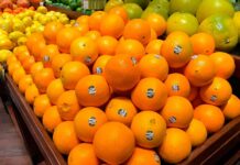 Sinclair presenta un nuevo portal web de recursos educativos