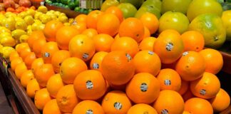 Sinclair presenta un nuevo portal web de recursos educativos